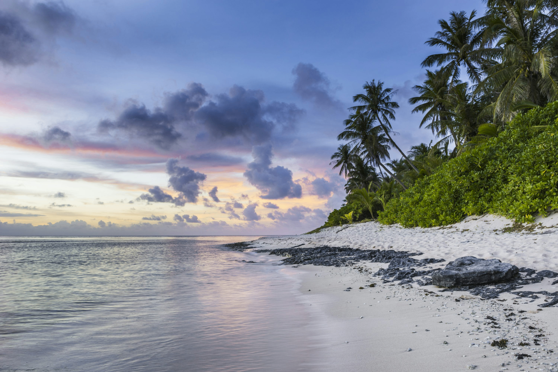 Beautiful beach with palm trees at sunset